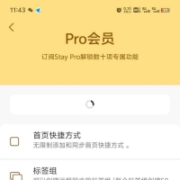 Stay浏览器pro版10.26