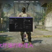cs2外部隔墙锁+透(最新10.10最新）