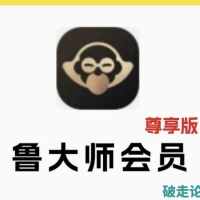 卖的很火爆的虚拟产品，鲁大师